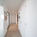 Casiola - Modern New With Pool Access And Parking 公寓 奥斯滕德